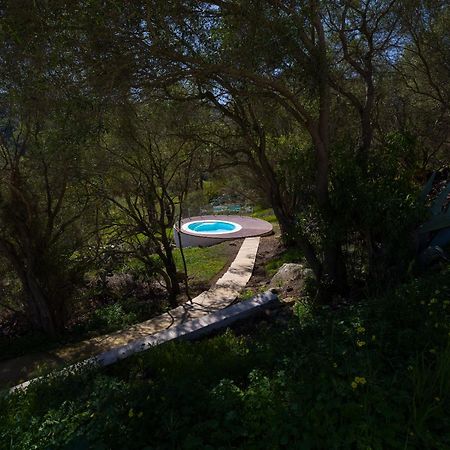 Agroturismo Suites Hacienda Los Olivos Санта-Брихида Экстерьер фото